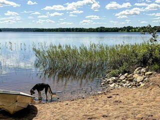 Vakantiehuis Hjaeltevad Buitenaudio-opname 4