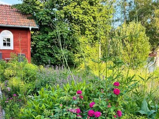 Ferienhaus Hjaeltevad Außenaufnahme 8