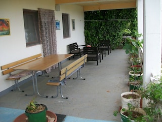 Apartment Drenje Außenaufnahme 11