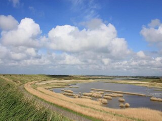 Apartment Westkapelle Environment 19