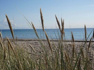 Ferienhaus Sydals  29