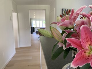 Küche_Pflanze_nah Groß