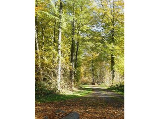 Wandern im Herbst