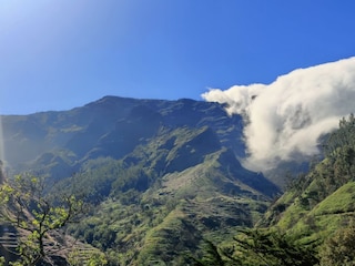 Villa Funchal Umgebung 36