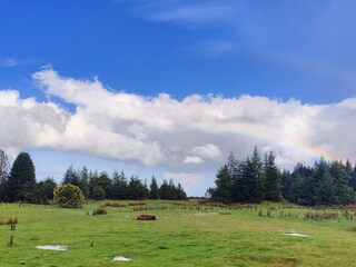 Villa Funchal Umgebung 39