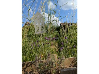 Entspannung im Grünen