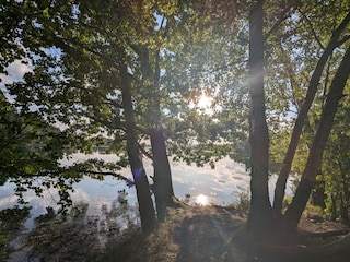 ein weiterer See in Hüfingen: der Riedsee