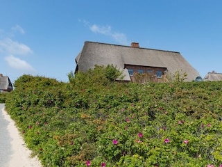 Ferienhaus List Außenaufnahme 23