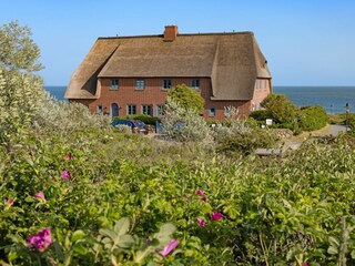 Ferienhaus List Außenaufnahme 30