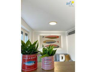 Ferienwohnung Borkum Außenaufnahme 9