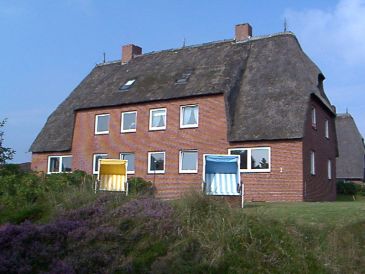 Apartment Pelle