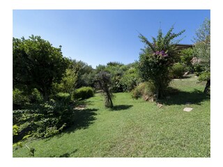 Appartement Palau Buitenaudio-opname 8