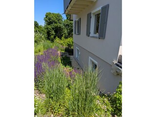 Außenanlage rund ums Haus