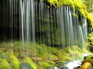 Appartement de vacances Löffingen Environnement 22