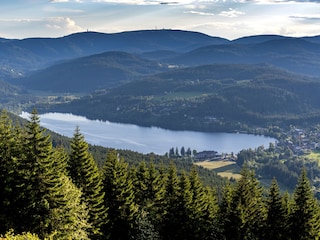 Appartamento per vacanze Löffingen Ambiente 24
