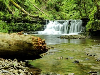 Appartamento per vacanze Löffingen Ambiente 26