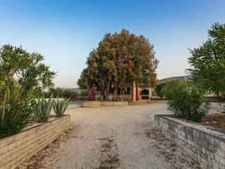 Ferienhaus Pučišća Außenaufnahme 9