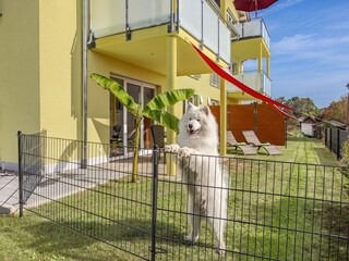 Terrasse mit Hundezaun