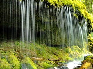 Appartamento per vacanze Löffingen Ambiente 19