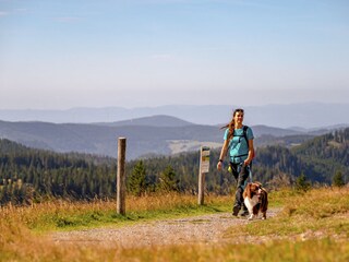 Appartamento per vacanze Löffingen Ambiente 22