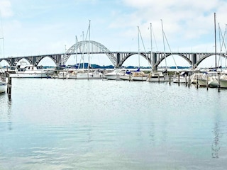 Ferienhaus Kalvehave  5