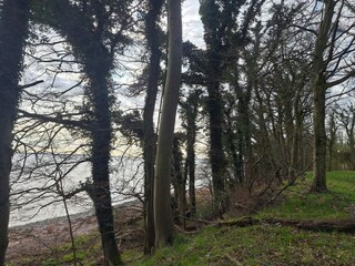 Ferienhaus Kalvehave  30