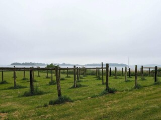 Ferienhaus Kalvehave  35