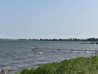 Ferienhaus Kalvehave  26