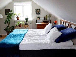 Ferienhaus Blixtorp  31