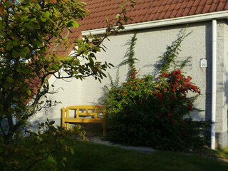 Vakantiehuis Scharendijke Buitenaudio-opname 6