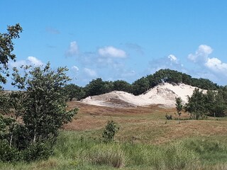 Casa per le vacanze Scharendijke Ambiente 21