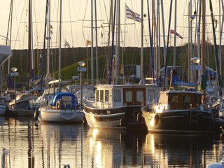 Vakantiehuis Scharendijke Omgeving 29