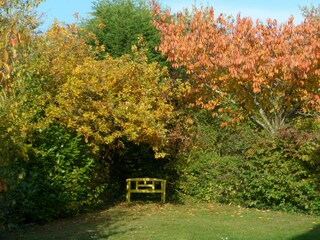 Casa per le vacanze Scharendijke Registrazione all'aperto 7