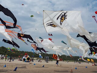 Casa per le vacanze Scharendijke Ambiente 32