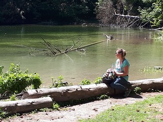 Casa per le vacanze Scharendijke Ambiente 33