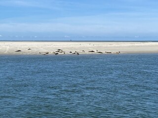 Casa per le vacanze Ballum Ambiente 20
