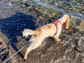 Ferienhaus Kegnæs Außenaufnahme 6