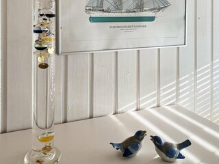 Ferienhaus Kegnæs  25