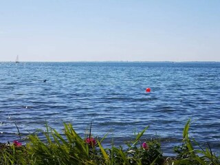 Ferienhaus Kegnæs  51