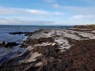 Ferienhaus Kegnæs  56