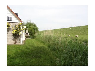 Ferienhaus Oostmahorn Außenaufnahme 3