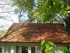 Holiday house Noordbergum, rural holiday home FR004 - Oudemirdum - image1