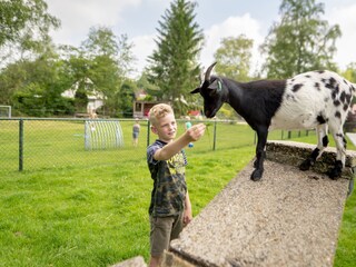 Vakantiehuis Noordwolde Omgeving 11