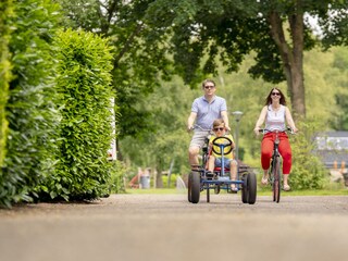 Vakantiehuis Noordwolde Omgeving 14