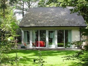 Holiday house Gaasterland, bungalow in forest park Fonteinbos in Oudemirdum FR033 - Oudemirdum - image1