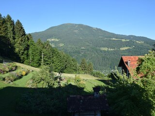 Appartamento per vacanze Millstatt Registrazione all'aperto 8