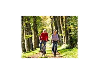 Vakantiehuis Koudum Omgeving 19