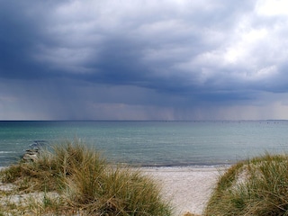 Ferienwohnung Klausdorf (Fehmarn) Umgebung 19