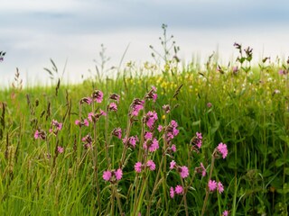 Vakantiehuis Saint-Pabu Omgeving 35