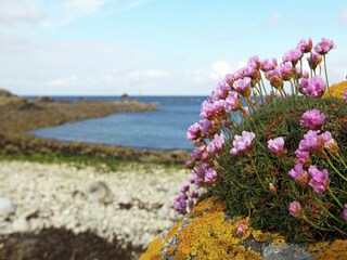 Casa per le vacanze Saint-Pabu Ambiente 34